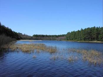 Jezioro Gacno Wielkie fot. B. Grabowska