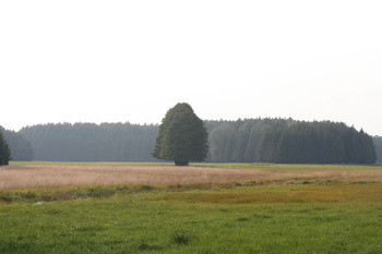 Łąki Józefowskie, Fot. Magdalena Kochanowska