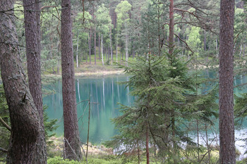 Jezioro lobeliowe Kocioł, Fot. Beata Grabowska