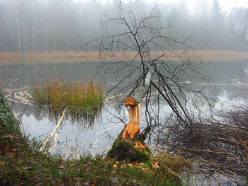 Jezioro Ostrowite, Fot. Ewa Tokarska