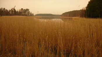 Jezioro Ostrowite, Fot. Maria Chybowska