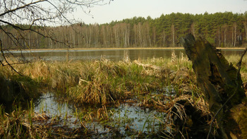 Jezioro Skrzynka, Fot. Maria Chybowska