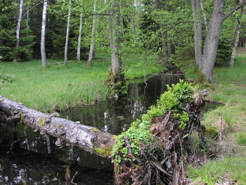 Struga Siedmiu Jezior fot. K. Bosek