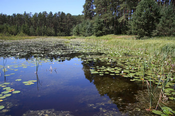 „Pętla Lipnickiego” (fot. Magdalena  Kochanowska)