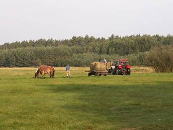 Natura 2000 a działalność człowieka