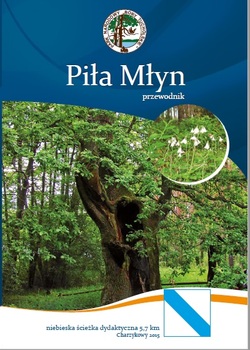 Piła Młyn