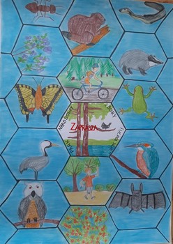 rys. Lena Mączyńska