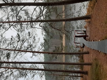 Drewniana kładka przy jeziorze Nierybno fot. B. Grabowska